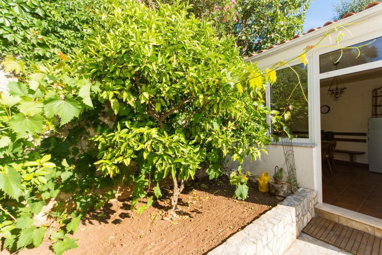 Apartments Bluesky تروغير المظهر الخارجي الصورة